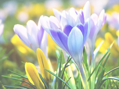 Es tal la belleza del entorno natural, que se antoja pensar que un gran artista dedicó su tiempo a dar forma a todo lo que vemos