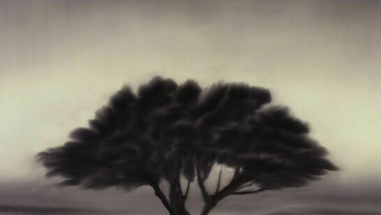 Mosh Kashi, Ash Tree, oil on canvas, 145 x 95 cm, 2014