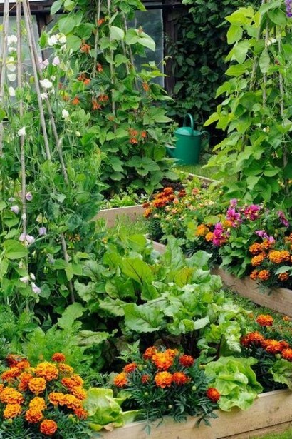 Unire specie diverse, compresi fiori e aromatiche