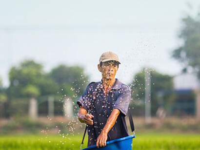 Life in the countryside