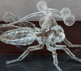 Unknown Species, 2017