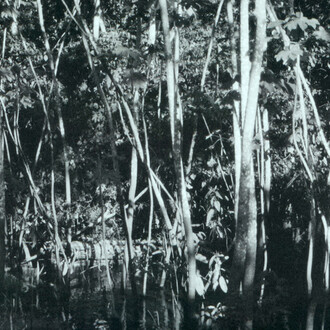 Luzia Simons. Courtesy of Circle Culture Gallery