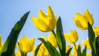 C’è quella di primavera che ancora si mescola al fresco delle montagne e i primi fiori che spuntano
