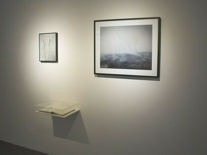 Intermittent Topographies, Exhibition view. Courtesy of Casa Nova Arte e Cultura Contemporanea