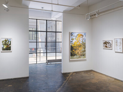 Maxine Henryson, Frequently the woods are pink, 2023, exhibition view,  A.I.R. Gallery, Brooklyn, NY, photo by Sebastian Bach. Courtesy of the artist and A.I.R. Gallery