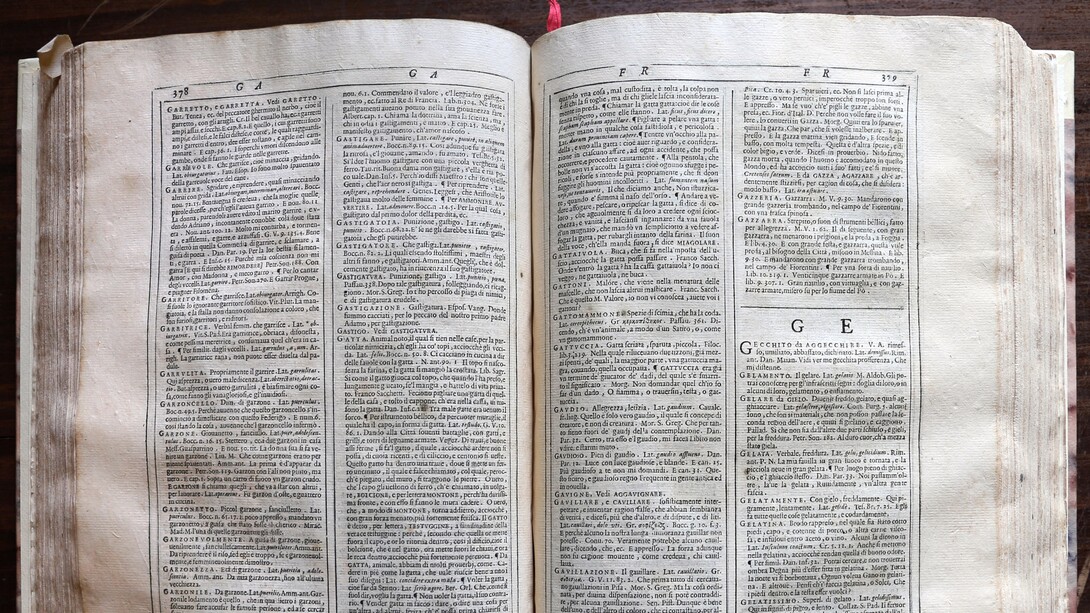 La parola è narrazione. Devi leggerla in quello che le succede dentro, come si fa con l'anima