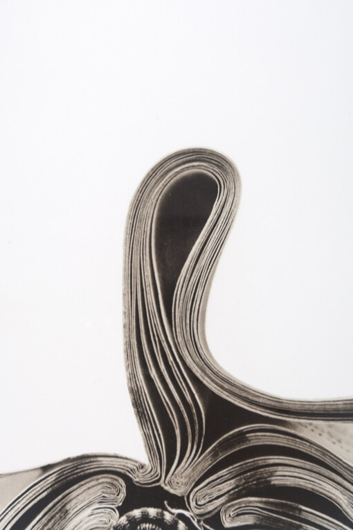 Bibliophile. Courtesy of Panopticon Gallery
