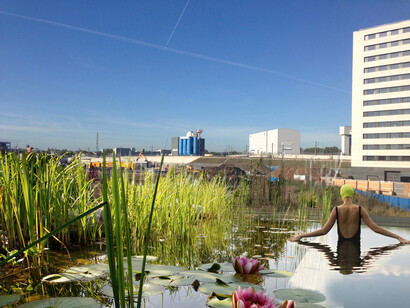 King's Cross Pond Club, Visual showing Kings Cross Pond Club, (2013)