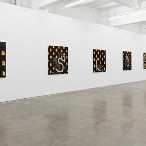 Stieg Pers­son, Black swans, exhibition view. Courtesy of Anna Schwartz Gallery