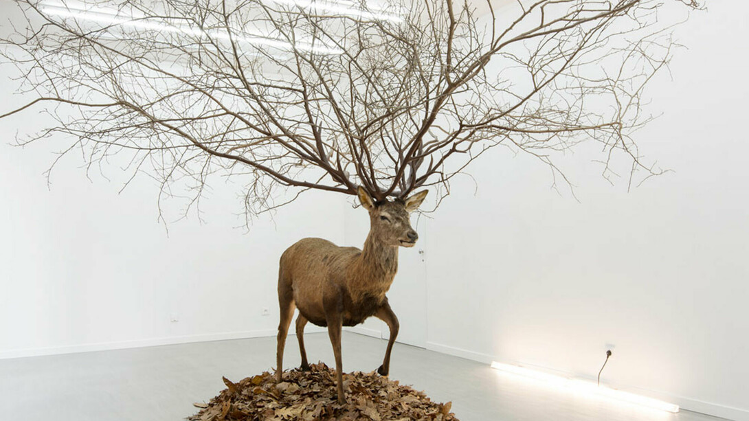 Amphibology. Courtesy of Galerie Paris-Beijing