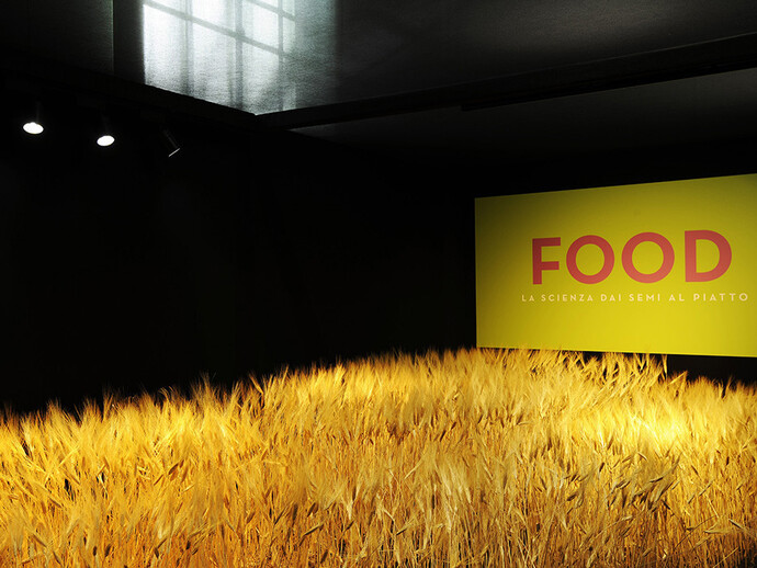 Food. Science from seeds to supper, Museo Civico di Storia Naturale, Milano. Ph: Fabrizio Stipari/24Ore Cultura