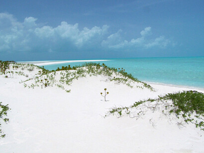 Dunes close to the beach