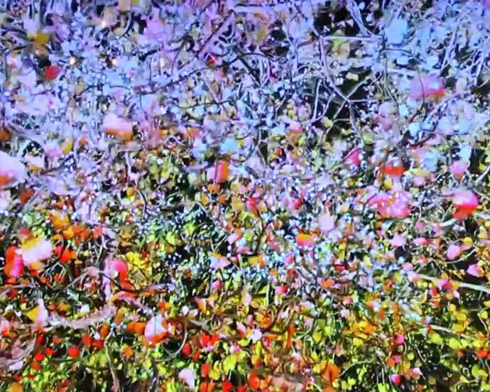 Jennifer Steinkamp. Courtesy of The Portland Art Museum