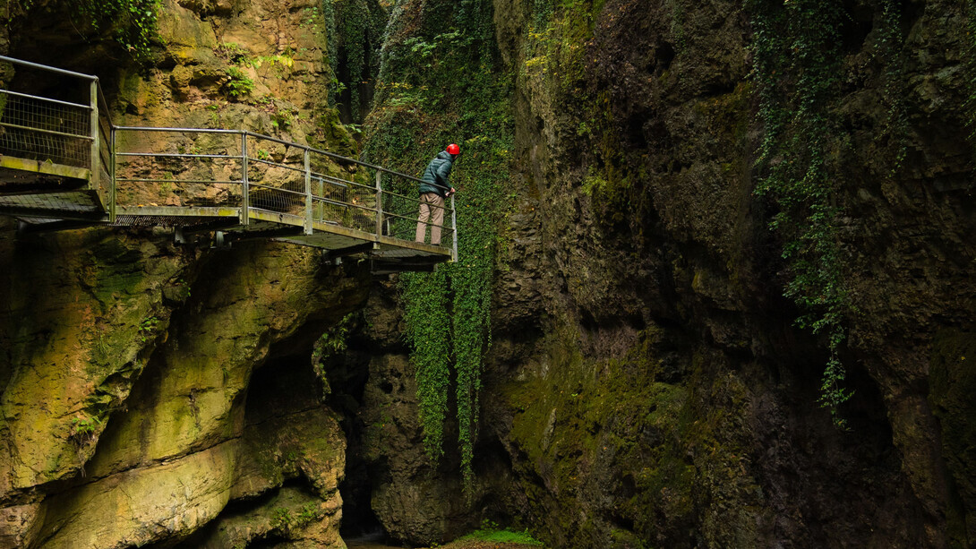 Simone Bramante, Parco Fluviale Novella, Val di Non, 2024-2025 © Simone Bramante