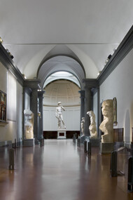 La Galleria dell'Accademia a Firenze, Sala del David di Michelangelo