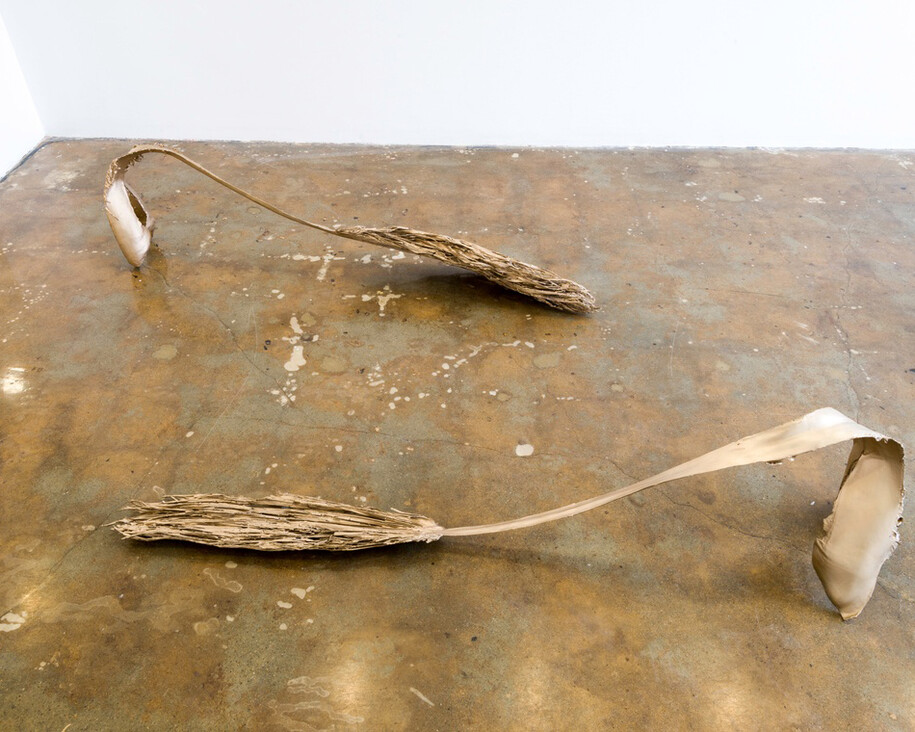 Zoe Crosher. Courtesy of Aspen Art Museum