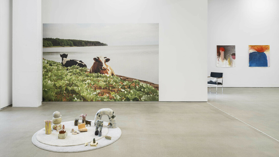Harry Hachmeister, Jetzt weiß ich wo das Taxi ist und werde nicht mehr danach suchen, ausstellungsansicht. Mit freundlicher genehmigung der G2 Kunsthalle