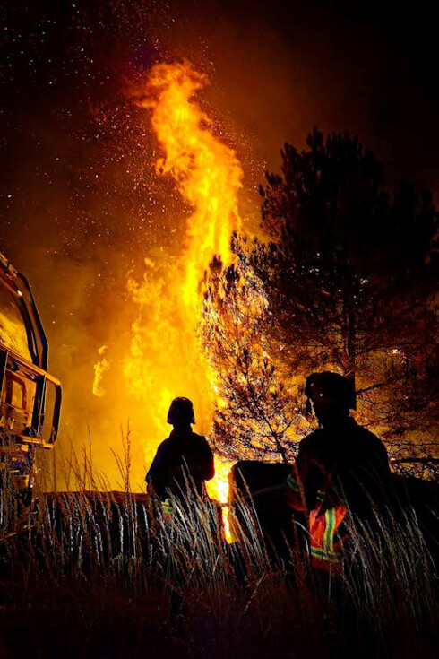 In the darkness of night, firefighters fight a raging forest fire, using all their strength to control the blaze