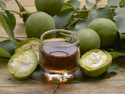 Nocino