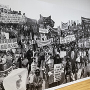 Pınar Öğrenci und Nuri Musluoğlu, Fotografie neu ordnen, Ausstellungsansicht. Mit freundlicher Genehmigung des Museums für Kunst und Gewerbe Hamburg