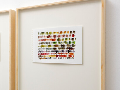 Lina Espinosa, La otra orilla, vista de exhibición. Cortesía de la Galería Rafael Pérez Hernando