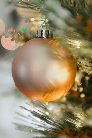 Holidays during the pandemic 