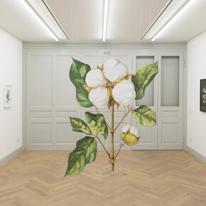 Ishita Chakraborty, I recall the forest inside me, exhibition view. Courtesy of Galerie Peter Kilchmann