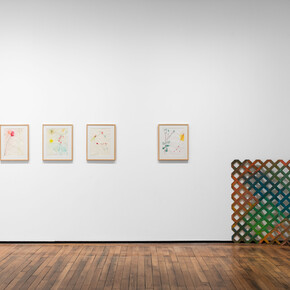 Exhibition View, Daniel Dezeuze, Mesoamerica © Adrien Millot. Courtesy of Templon Paris