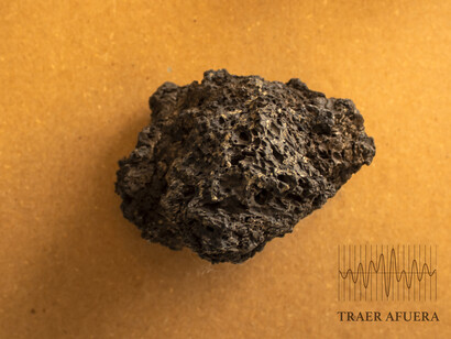 Stephannie Williams: Tierra afuera, 2021, fotografía, Costa Rica. Foto cortesía de la artista