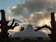 Ai Weiwei. Courtesy of Israel Museum