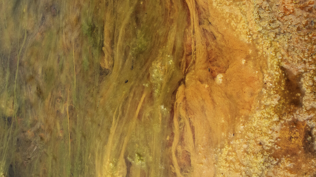 JITKA HANZLOVÁ
UR#4 Untitled, 2018 (rust)
from "WATER", 2018
c-print
edition of 8, ed. 8/8 + 3 AP
image 44 x 29.5 cm (17 3/8 x 11 5/8 in.)
framed 58 x 43 cm (22 7/8 x 16 7/8 in.) 