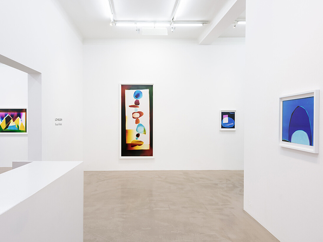 Liz Nielsen. Force Fields, Exhibition view. Courtesy of NextLevel Galerie