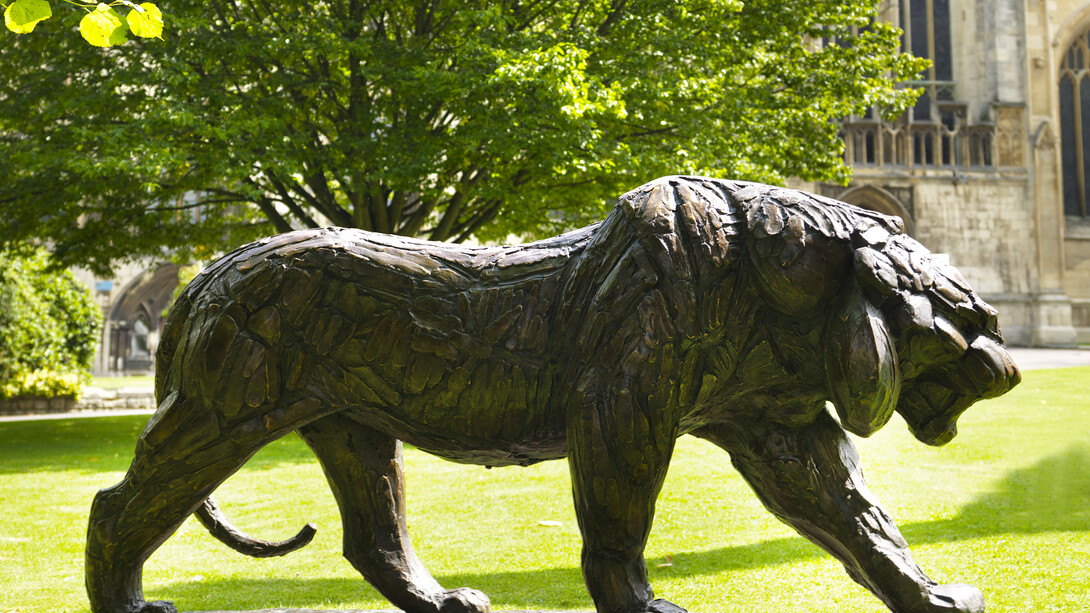 Rembrandt Bugatti, Siberian Tiger