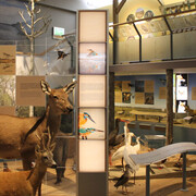 Our river and its land, exhibition view. Courtesy of Móra Ferenc Museum