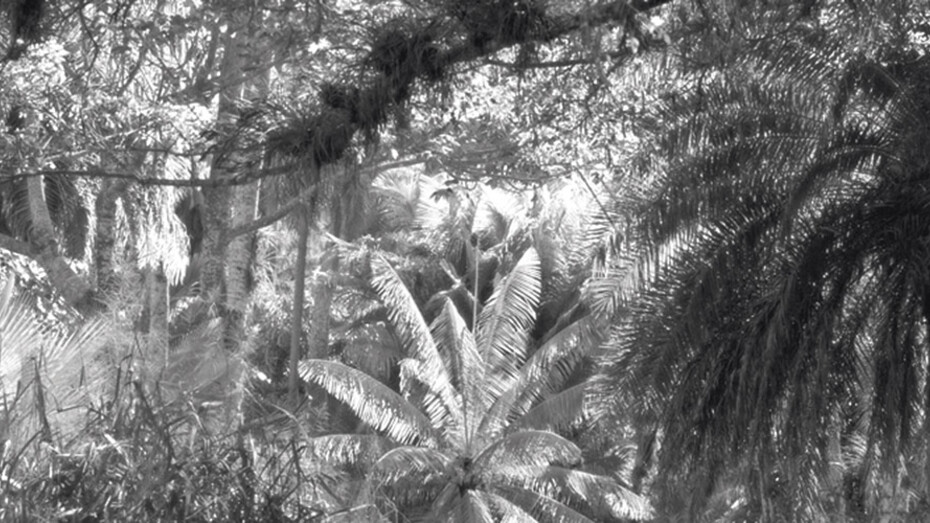 Ana Torfs. Courtesy of Pori Art Museum