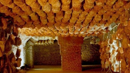 I culatelli di casa Spigaroli