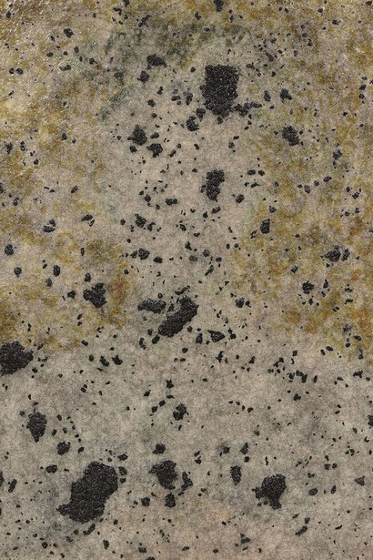 Icon, 2014-16, Archival print, canvas, resin, synthetic hair, acrylic, grit, fibre board, 108.5 x 149.5 cm © David James, by courtesy of the artist