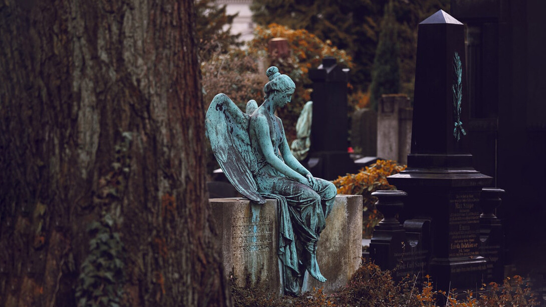 I libri di Domenico Dara sono carezze necessarie