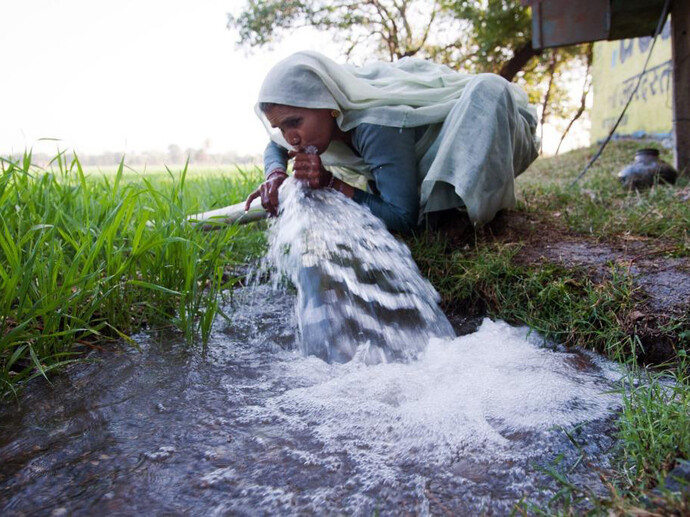 Darapti tastes the water, Madhya Pradesh, 2013