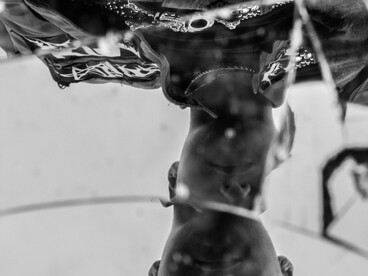 El riesgo no está en fallar, sino en animarse a actuar sin la garantía de aprobación