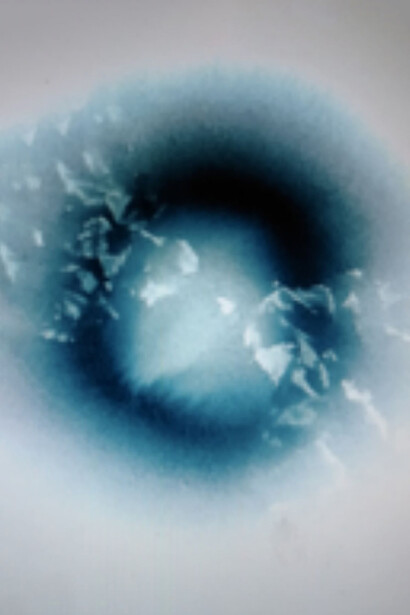 Alina Kalczyńska, Leggendo il fondo del mare, acquerello, 2008, poesia manoscritta da Julia Hartwig