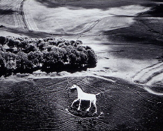 Photography. Courtesy of Oklahoma City Museum of Art