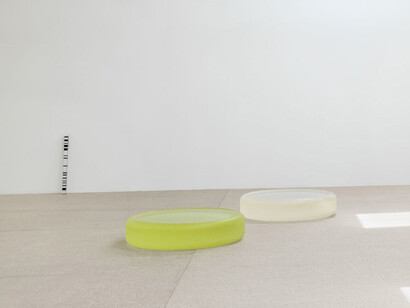Roni Horn, solo exhibition, exhibition view. Courtesy of Hauser & Wirth Gallery