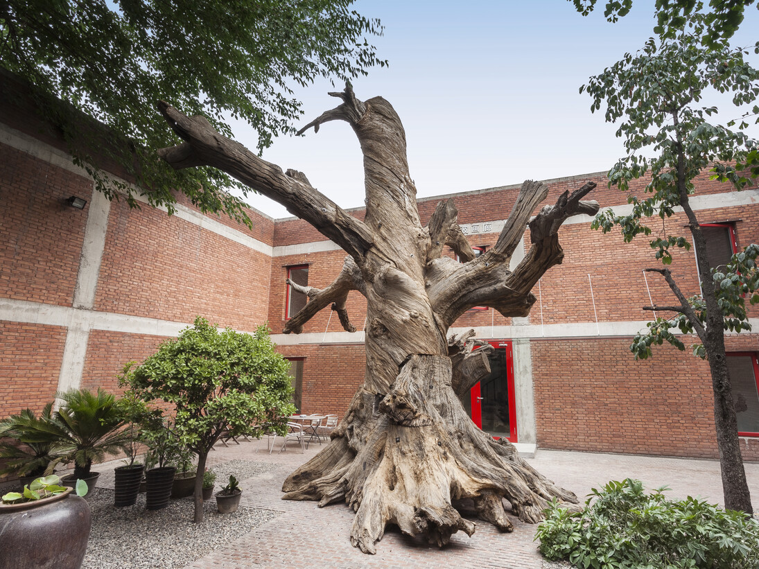 Ai Weiwei Tree, 2015, Tree sections, steel, 289 1/2 x 278 1/2 x 271 3/4 in (735 x 707 x 690 cm)