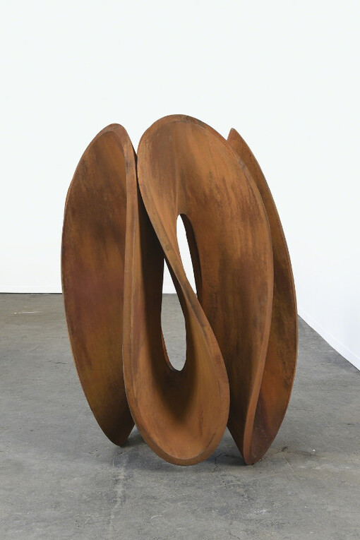 Gianpietro Carlesso. Courtesy of Ronchini Gallery