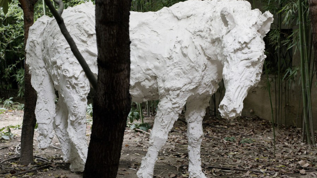 Passaggi. Courtesy of Otto Zoo