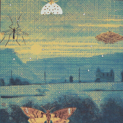 Niall Naessens, Night Visitors