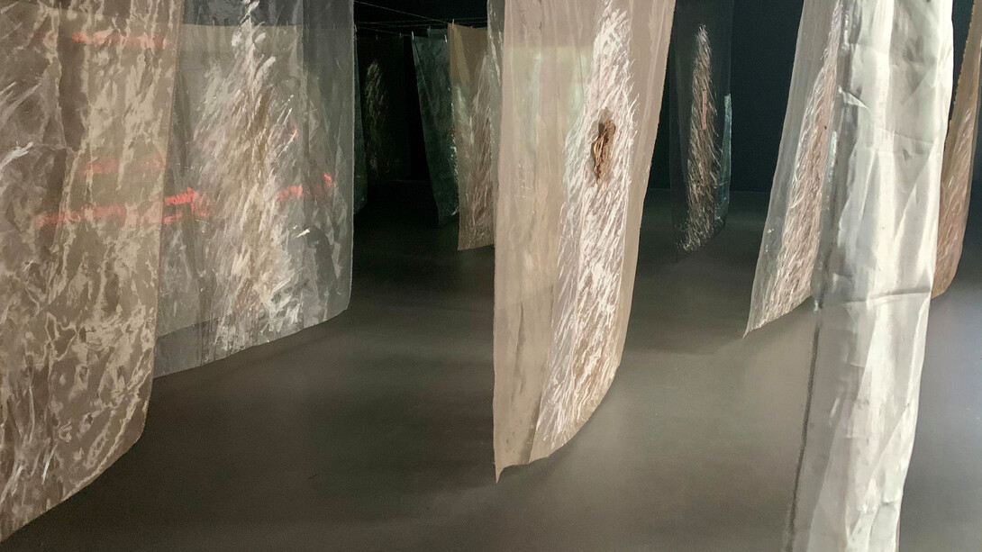 Guillermina Ortega; Instalación «Seres de luz»