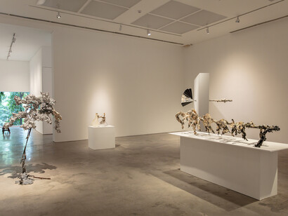Yasue Maetake, Mare fecunditatis – resurrection, exhibition view. Courtesy of Silverlens Galleries