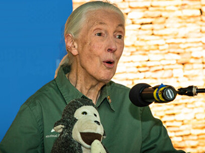 Cada palabra, cada historia y cada anécdota nos invitan a detenernos, pensar y reflexionar, a buscarle sentido a la vida que vivimos. Jane Goodall, el 4 de abril de 2022, visita la Misión de EE. UU. en Uganda